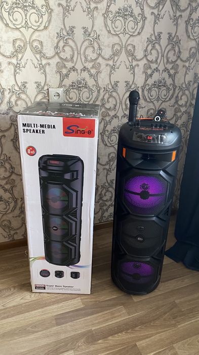 колонка с караоке и блютуз и пультом