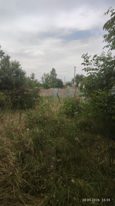 Земля,дача Навбахор,Паркент