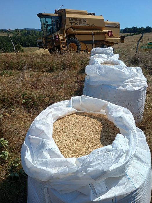 Лимец - екологично чист