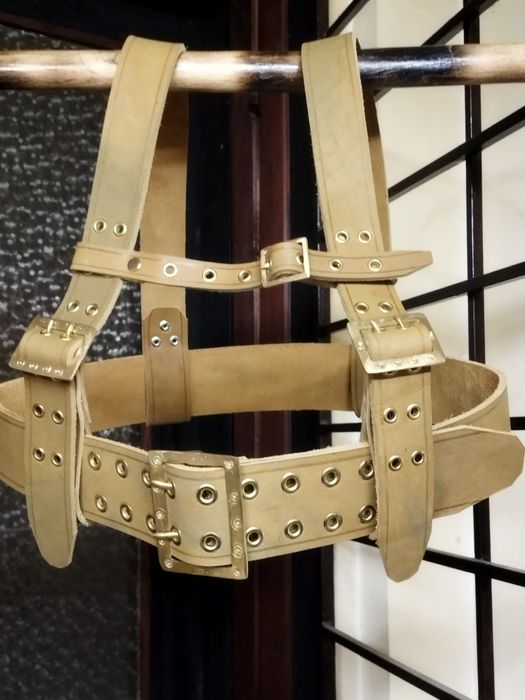 Чанове/ кукерски колани