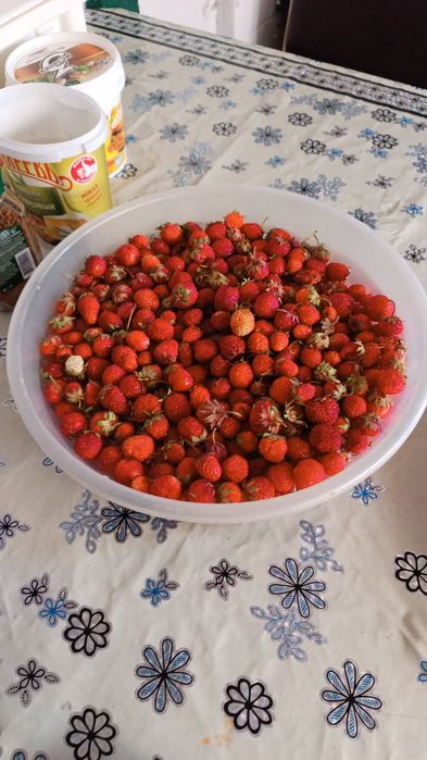 Продам дачу на медь заводе