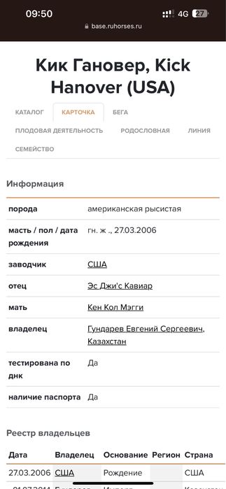 Иноходец Американец Жорға