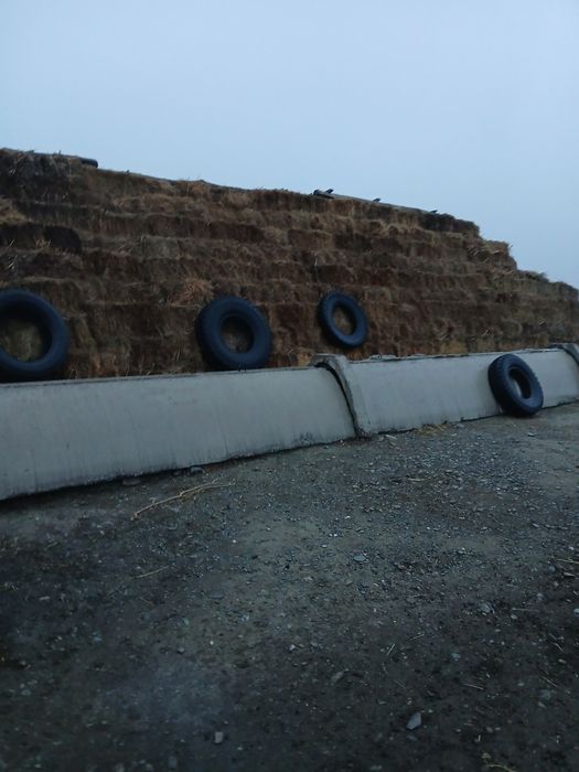 15000 шоп сатылады