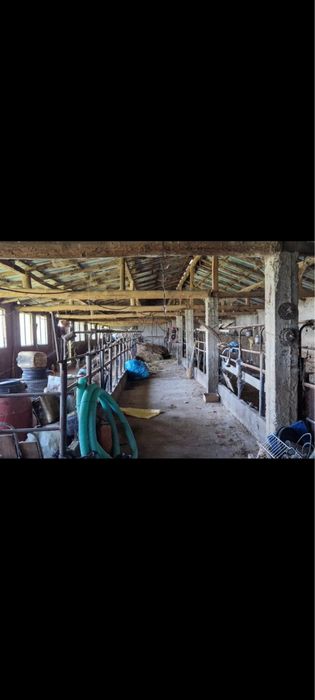 Продава се Парцел в с. Голямо църквище, Област Търговище - 454 кв.м за 152 €/кв.м - Снимка #5