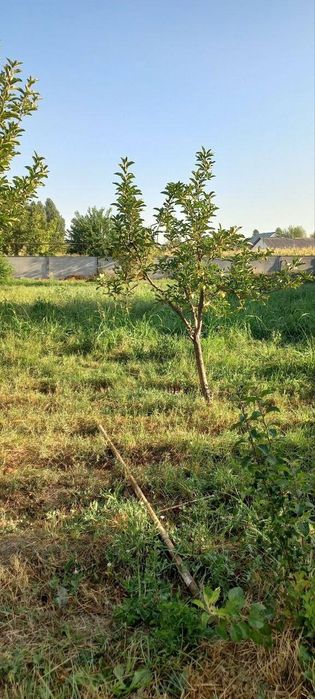 Продоётся земля   .