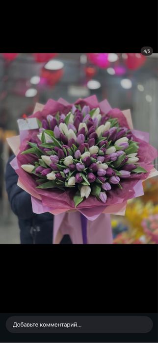 Тюльпаны Голландские