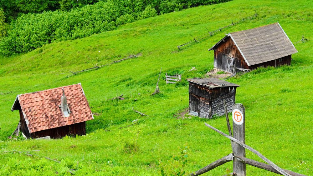 Unicat! 17 Ha Hectare teren intravilan + extravilan in Fundu Moldovei