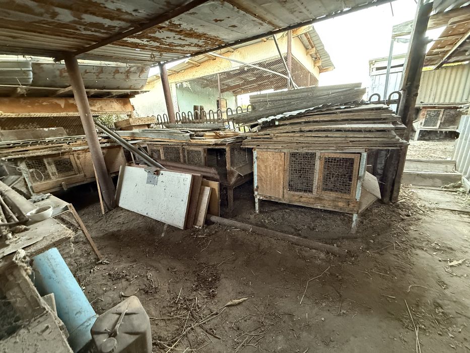 Клетки для разведения кролов