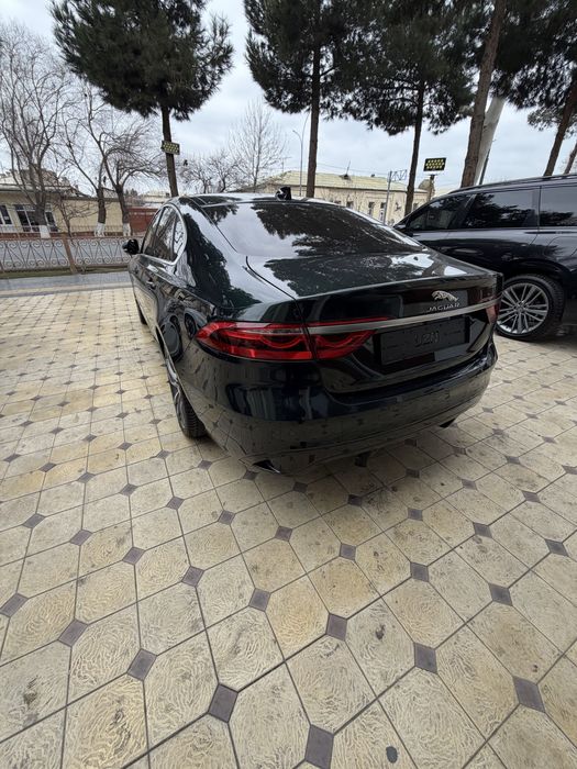 Jaguar XF250 xxx
