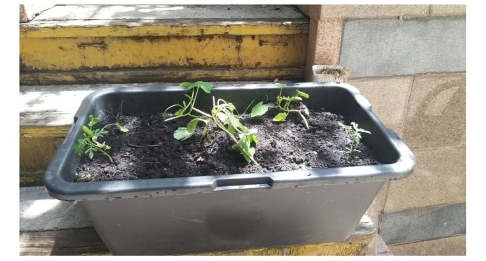 Ящик корзина для хранения