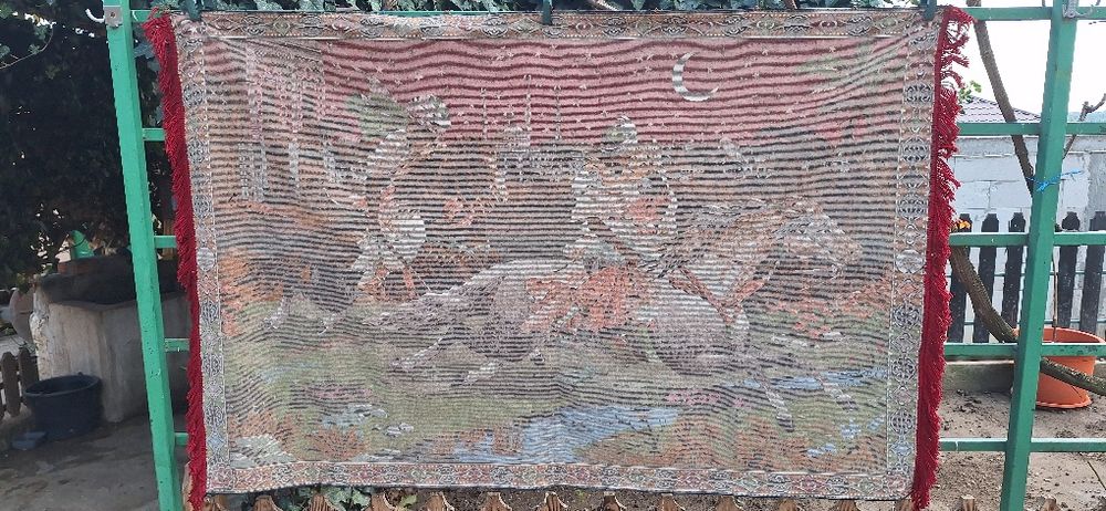 Carpeta rapirea din serai