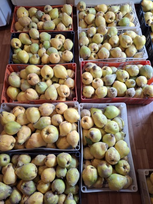 Продавам дюли за компот