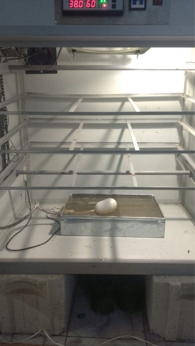 Инкубатор продам