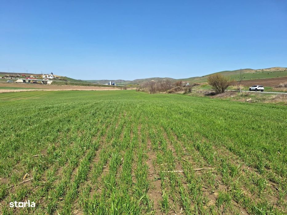 Teren de vânzare, 52600 mp, oportunitate de investiție