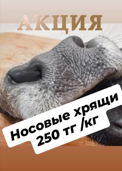 Натуральные лакомства для собак и кошек!