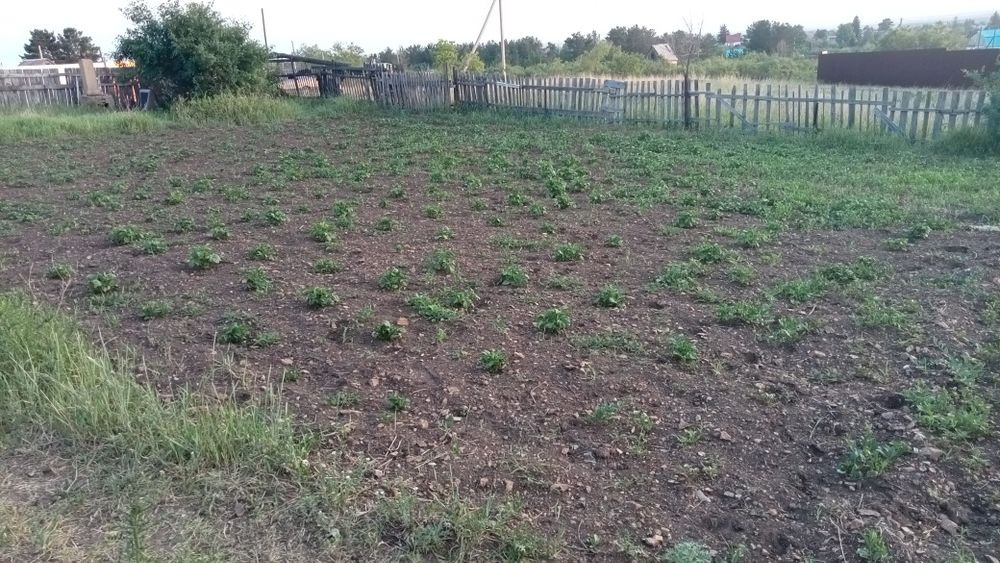 Продам дачу по зерендинской трассе