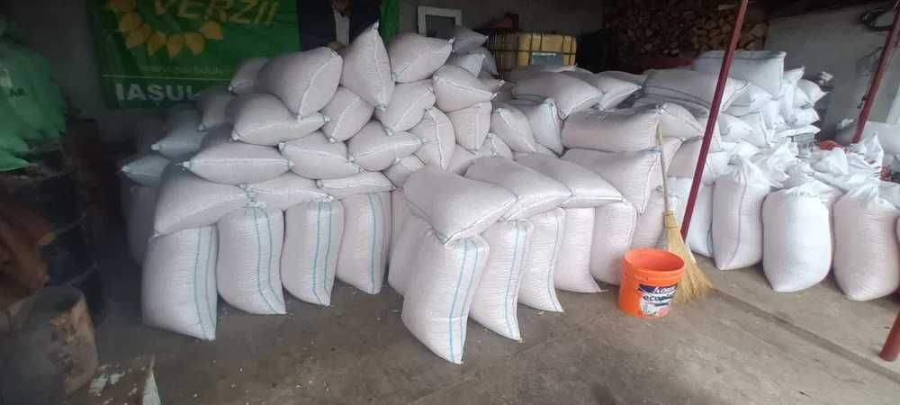 Vand porumb boabe recolta 2025