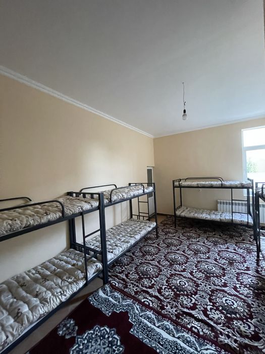 Талабаларга ижорага уй