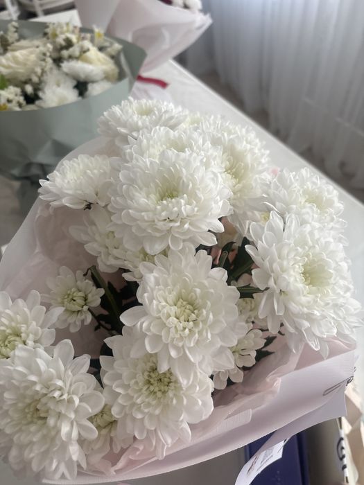 Гүлдер арзан бағада