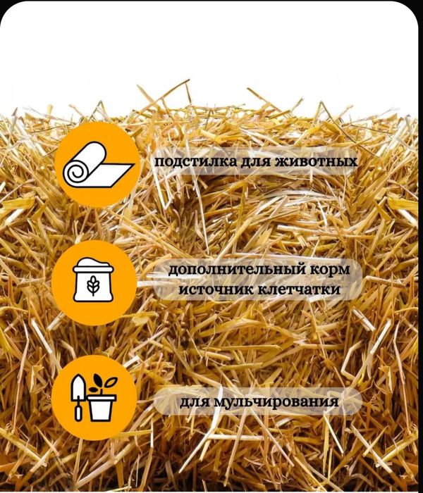 Солома в мешках, сабан, подстилка в городе