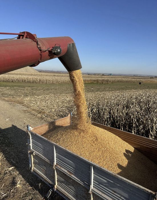 Vand graunte grau ovaz