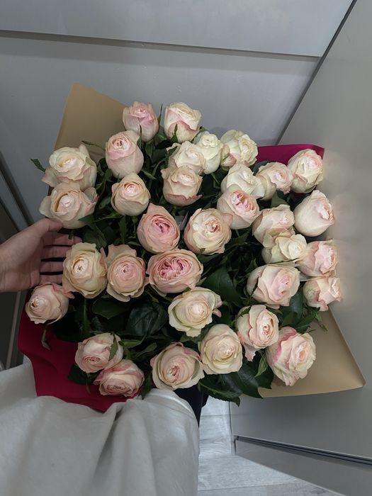 Цветы метровый роза