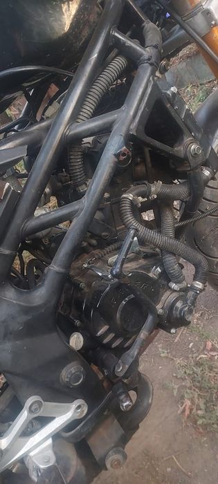 Рейсер Шторм 250