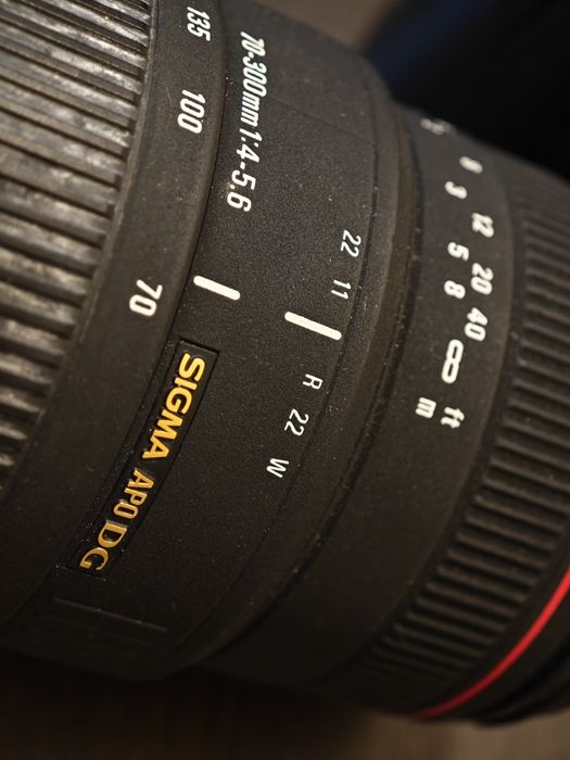 : Sigma 70-300mm f/4-5.6 APO DG Macro за Nikon