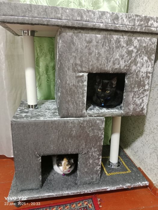 Продам кошачий домик