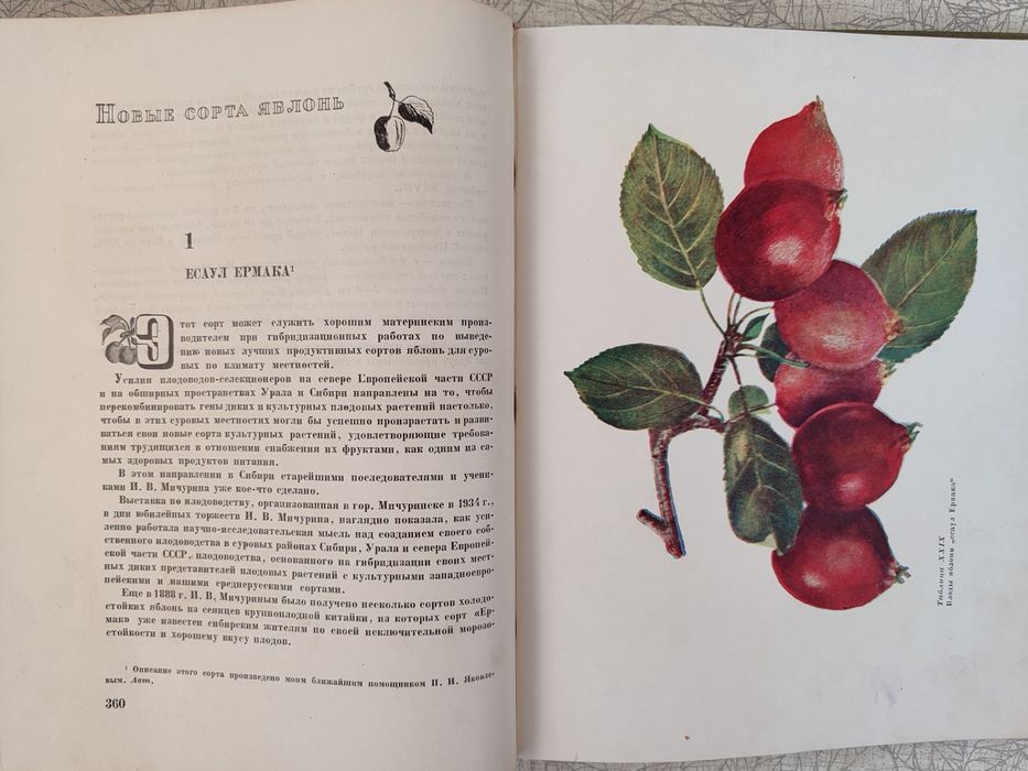 И.В. Мичурин. Гениальный генетик и селекционер.