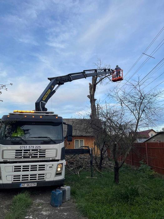 Camion cu Macara, Excavator 3.5T, Transport Utilaje, Nacela, Tractari