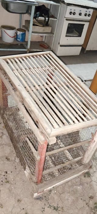 jaydari quyonlar narxiga javob bonusga qafas tekinga faqat 2ta quyonga