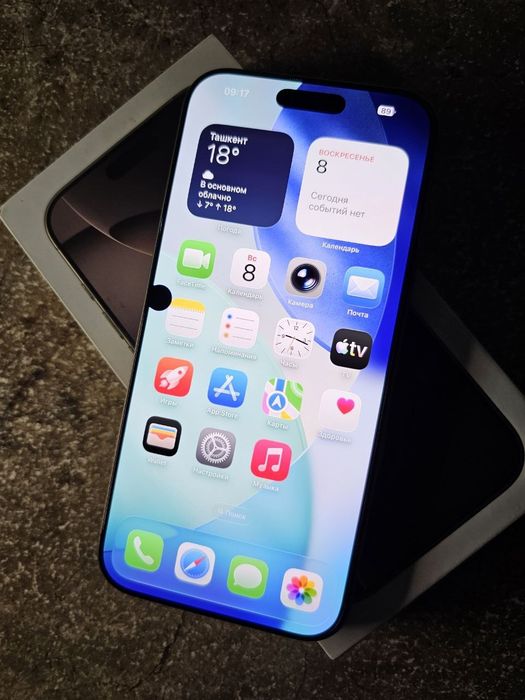 iPhone 16 Pro Max 256 GB