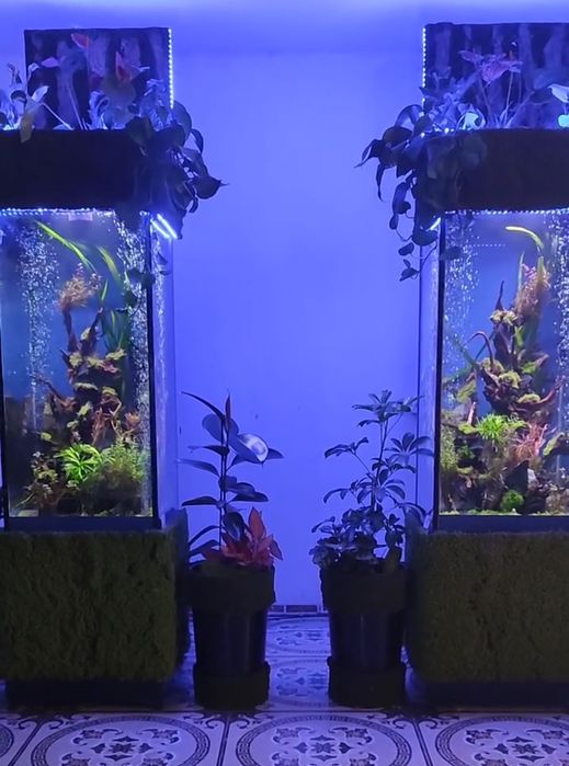 В продаже Аквариум Колонна