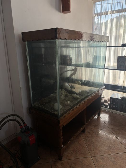 acvariu spatios 400l