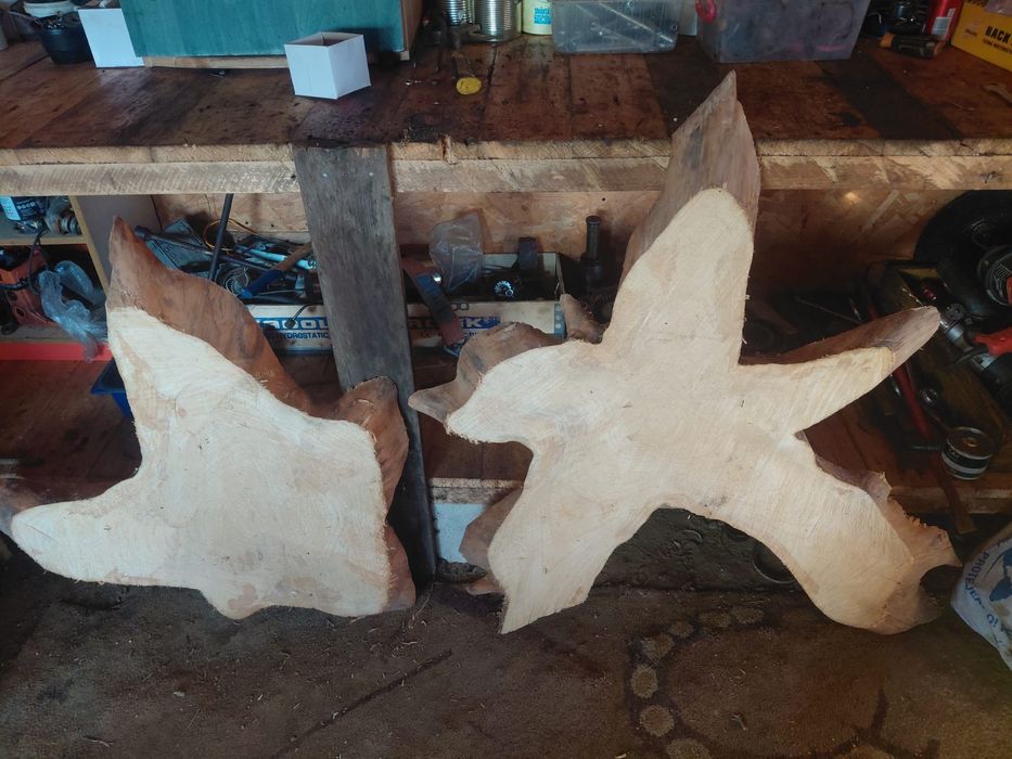 Blaturi molid uscate de 8 ani aștept oferte