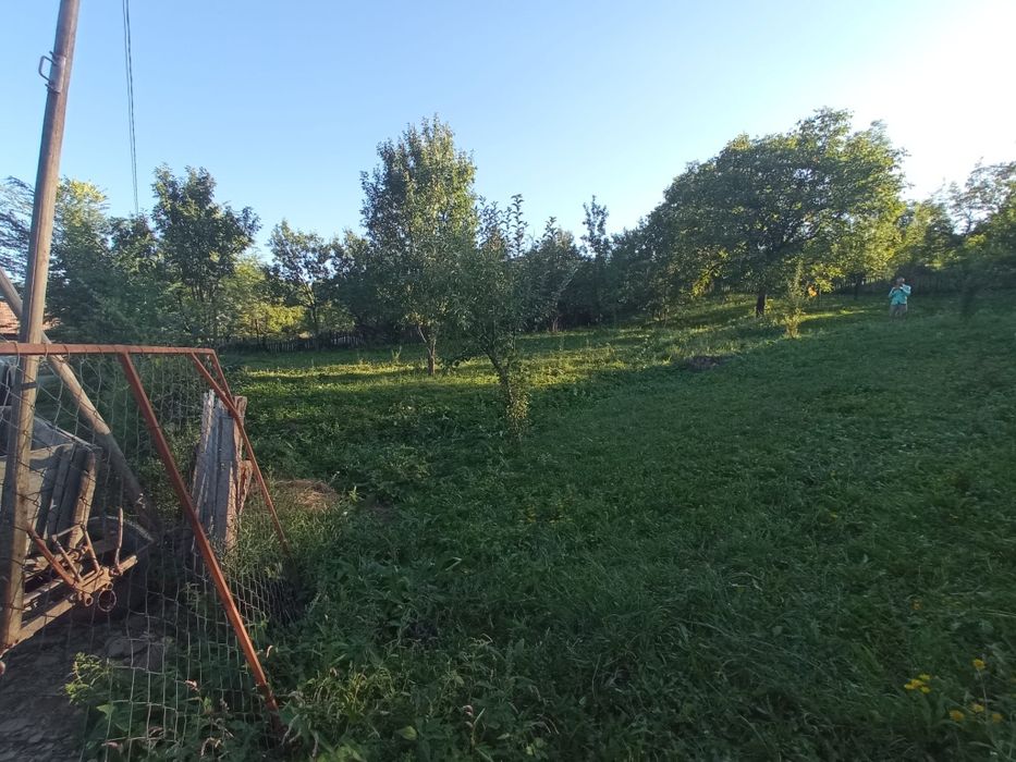 Teren intravilan 1000 mp