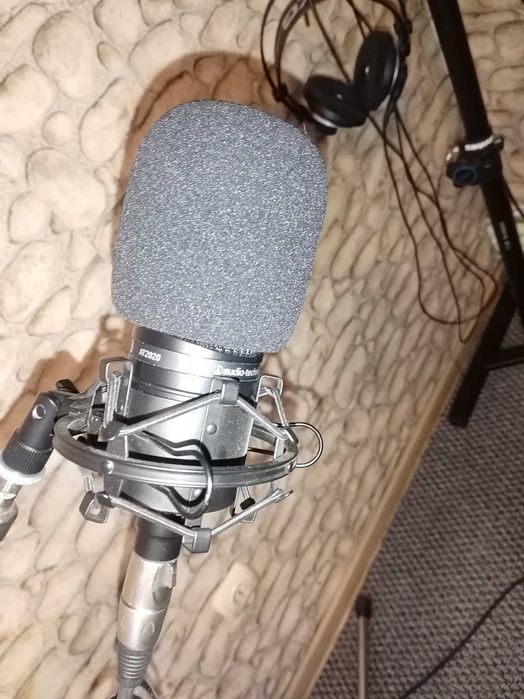 Microfon Audiotechnica At 2020