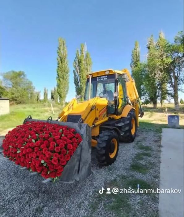 Услуга трактор экскаватор погрузчик септик уборка территорий планировк