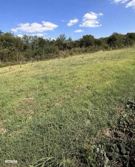 Sofimob Team/ Teren intravilan Oradea