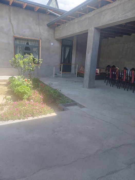 Ипакчилик.Гулзордаги Колани оркаси