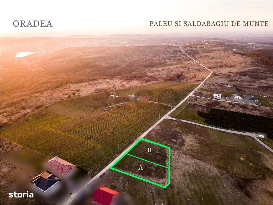 RECO Teren intravilan in Saldabagiu de Munte