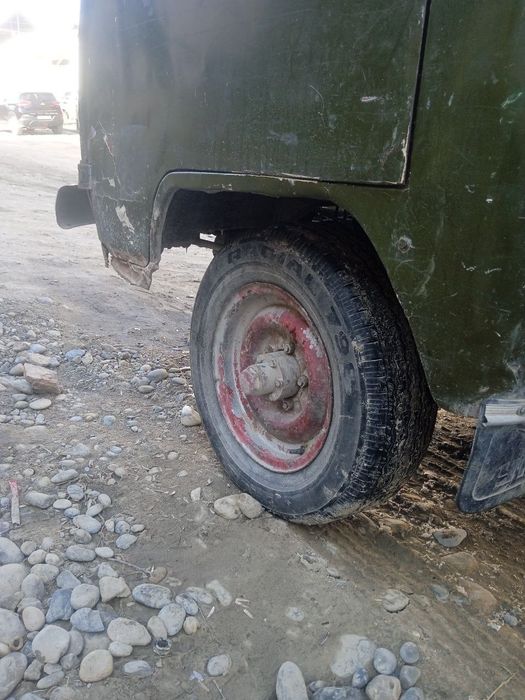 Mator karopka, bulgan 15 kun oldin  yili 1989  yil uvazik,3 ta 50 tali