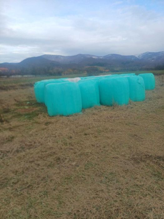 Vând baloți de lucernă înfoliati