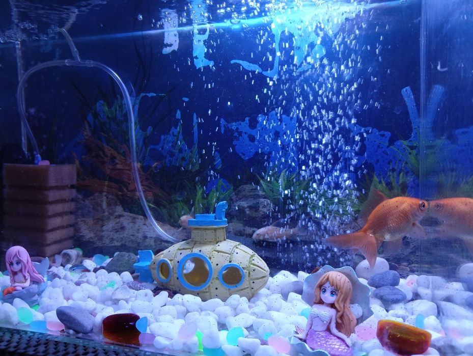 Аквариум 25 литра Действащ