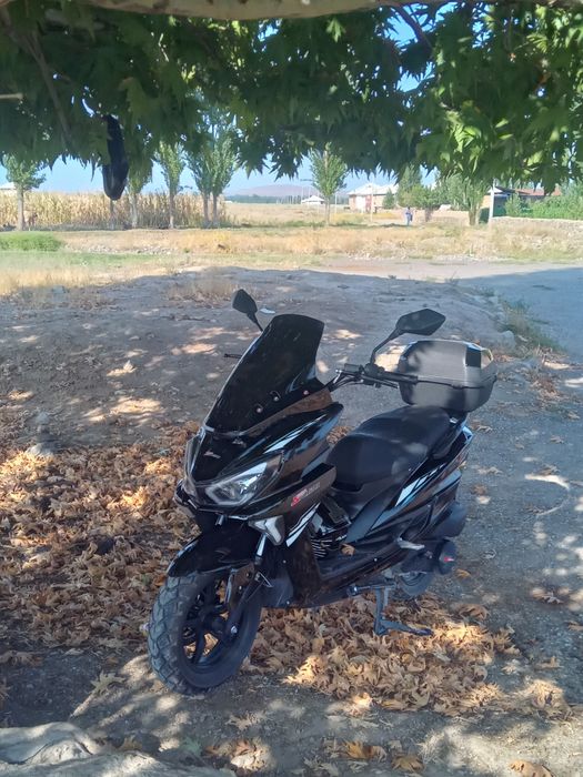 Tiger sotiladi tezligi 100+