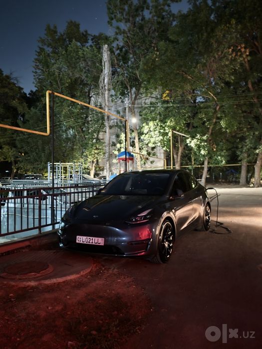 Model y performance