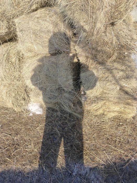 Продам Тюкииииии