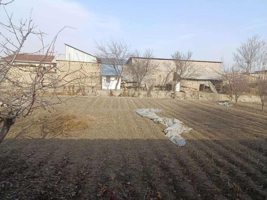 sodikzonberdimurodov