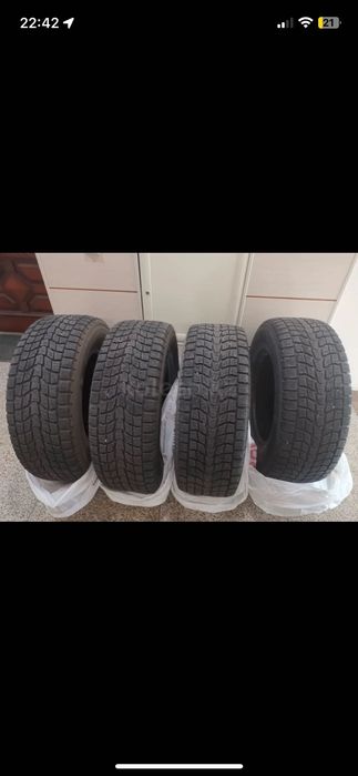 Зимние шины Dunlop